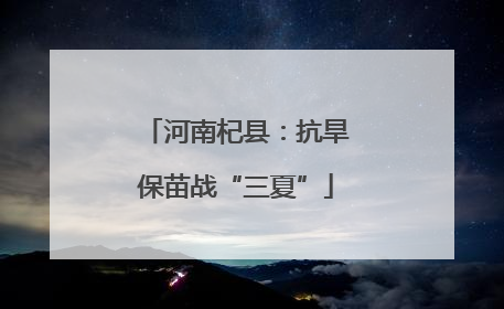 河南杞县：抗旱保苗战“三夏”